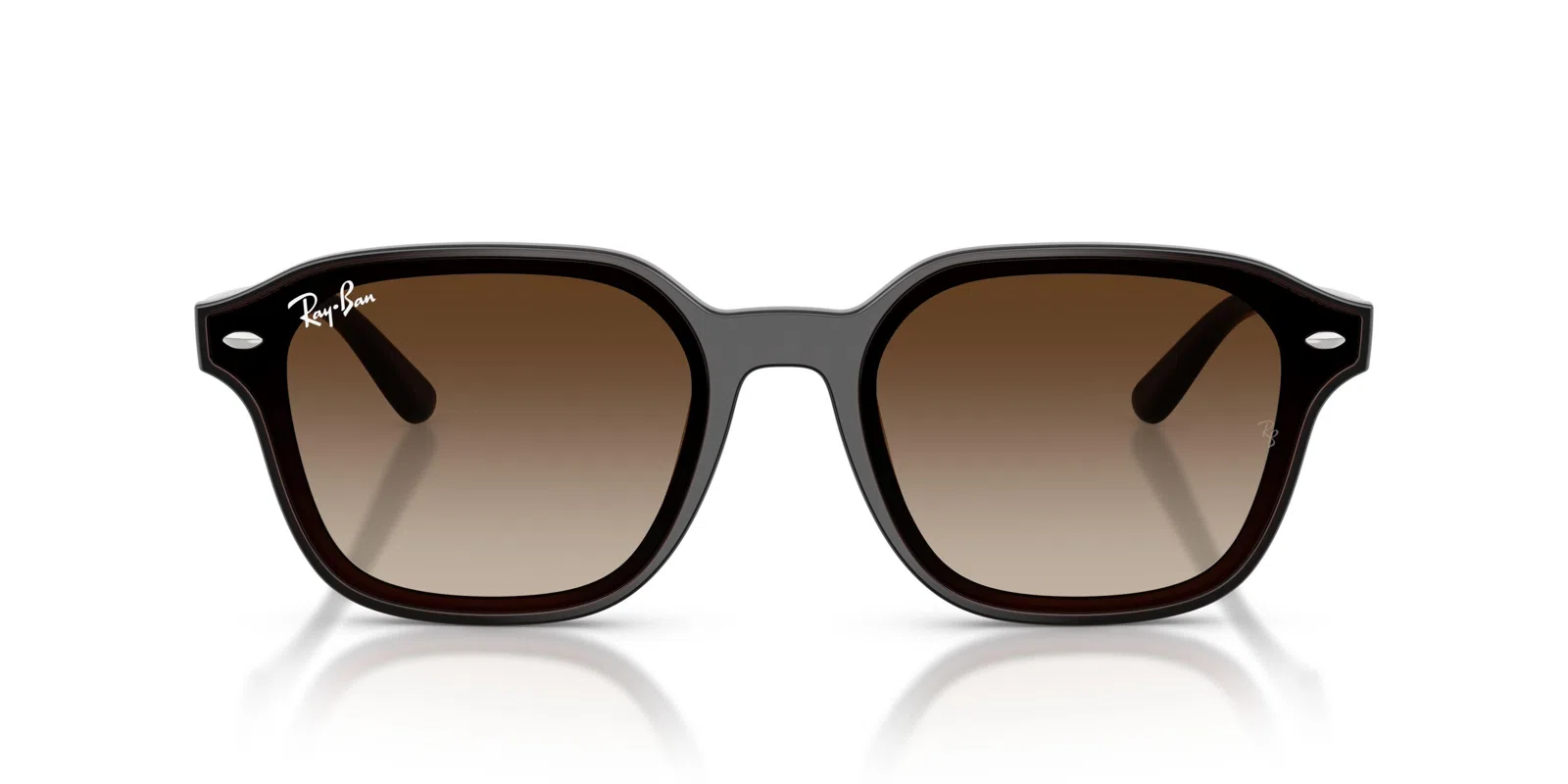 Ray-Ban 4458D Sunglasses - view 22